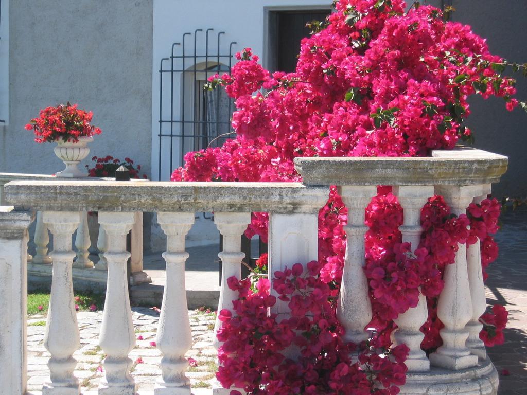 Ca Dei Conti Villa San Bartolomeo Al Mare Rum bild